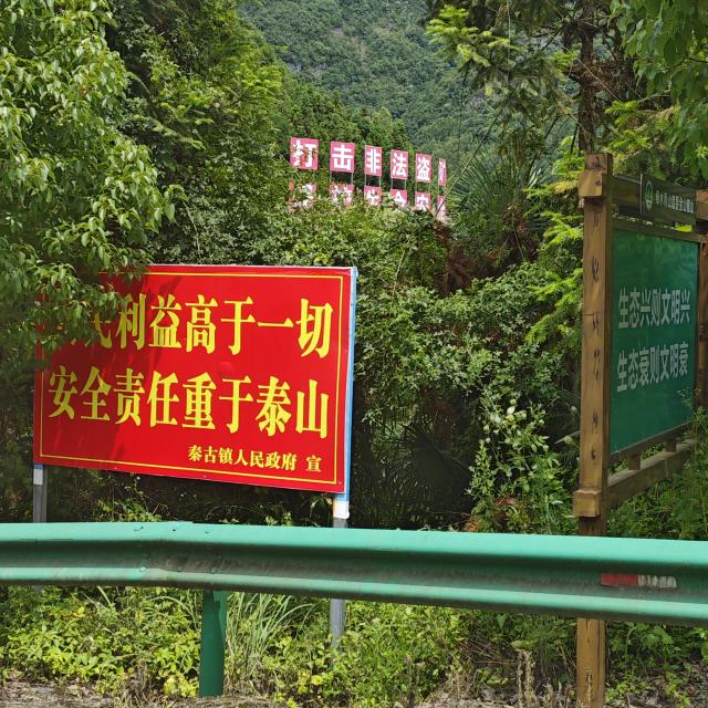 黄色直播